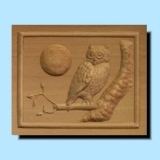 Eule und Mond
